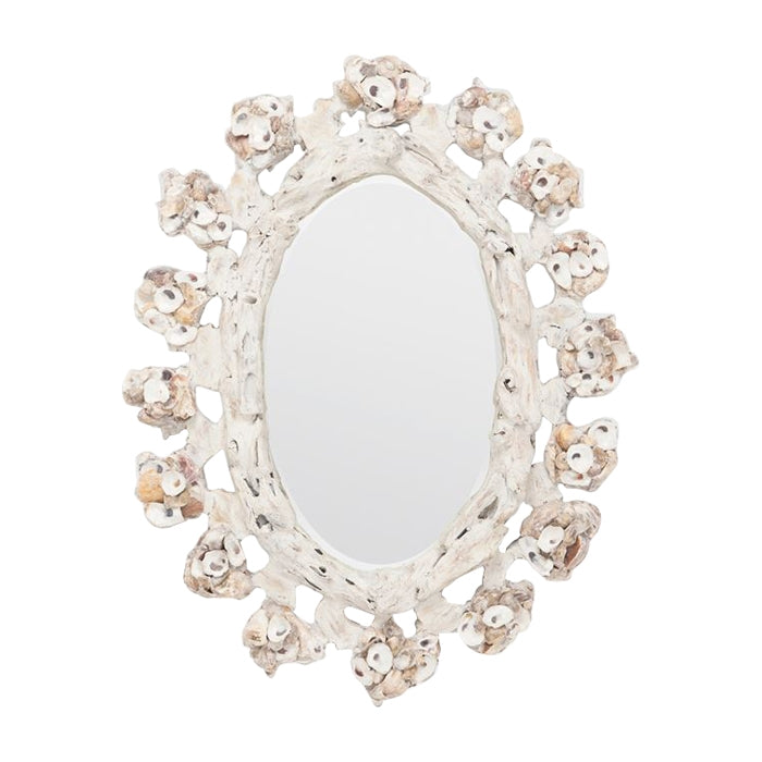 cream oyster shell natural white wash wood mirror