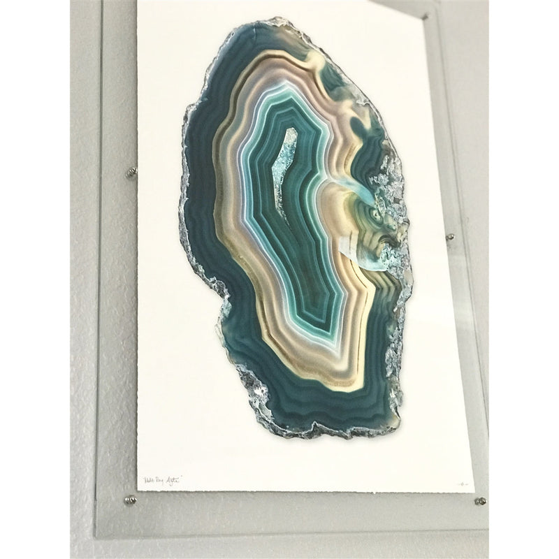 Photography Art - Multi-Ring Agate (paper, size + frame options) by Barloga Studios