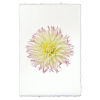 photography flower white yellow purple handmade paper