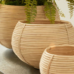 cane rattan plant basket set natural