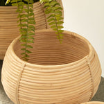 cane rattan plant basket set natural