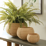 cane rattan plant basket set natural