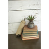 A stack of vintage books sits on a wooden table, alongside a flourishing plant and a rolling pin. Above them, Kalalou's Wall Mounted Wooden Note Roll (11.5") with Hooks is elegantly displayed, all set against the backdrop of painted white wooden panels for a touch of rustic charm.