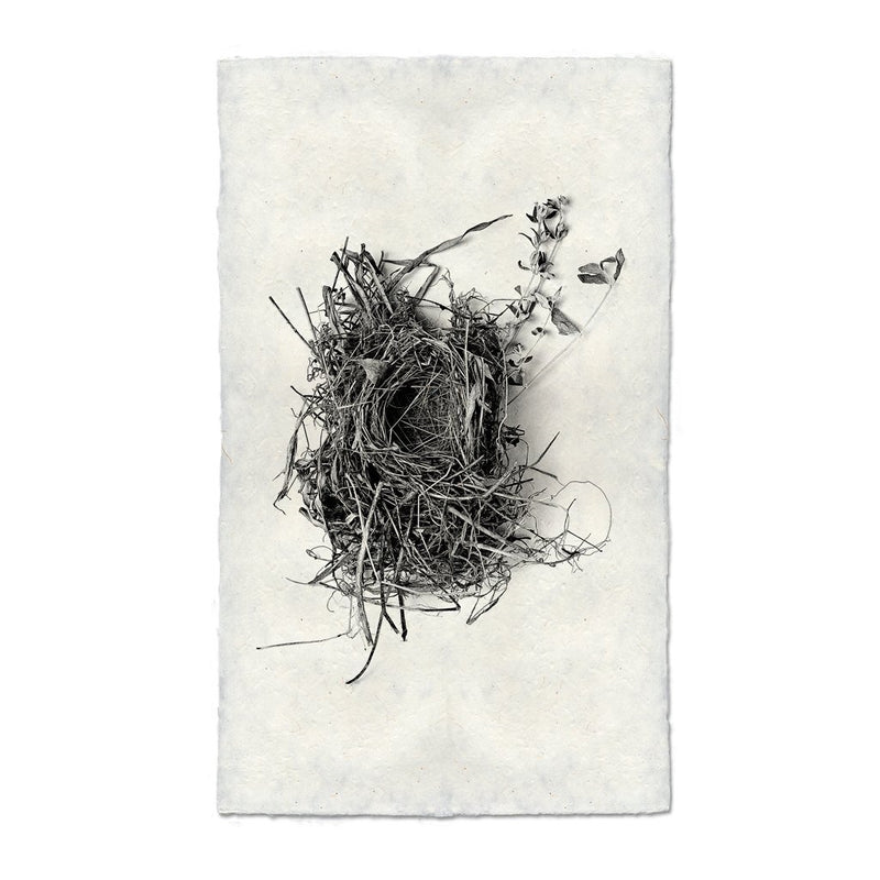 photography black white handmade paper bird nest #1
