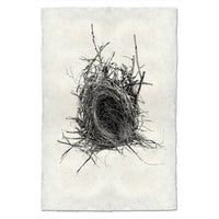 Photography Art - Nest Study #12 (paper, size + frame options) by Barloga Studios