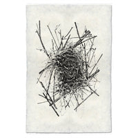 Photography Art - Nest Study #14 (paper, size + frame options) by Barloga Studios