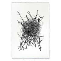 Photography Art - Nest Study #15 (paper, size + frame options) by Barloga Studios