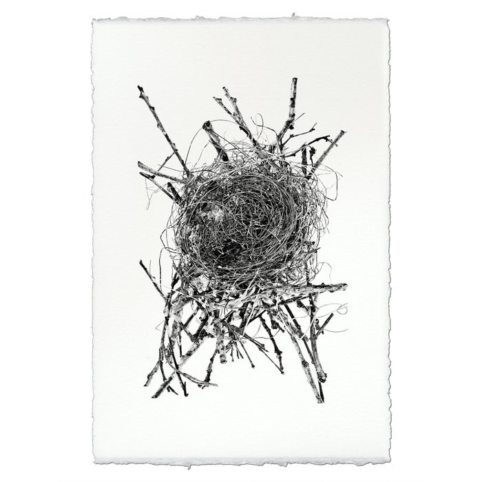 Photography Art - Nest Study #15 (paper, size + frame options) by Barloga Studios