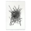 Photography Art - Nest Study #15 (paper, size + frame options) by Barloga Studios