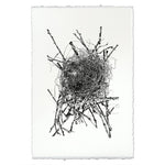Photography Art - Nest Study #15 (paper, size + frame options) by Barloga Studios