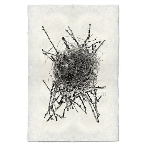 Photography Art - Nest Study #15 (paper, size + frame options) by Barloga Studios