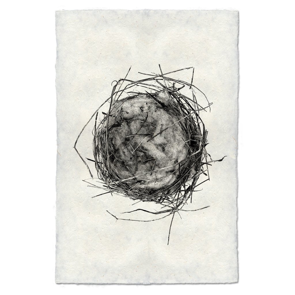 photography black white handmade paper bird nest #7