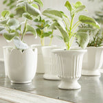 mini cachepot set classic white decor vases