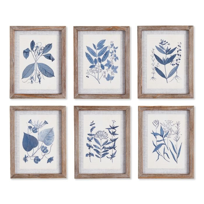 wall art framed organic natural botanical blue prints