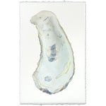 photography handmade paper oyster coastal decor wall art