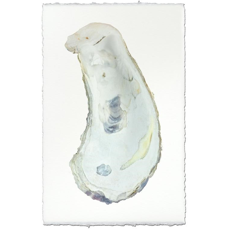 photography handmade paper oyster coastal decor wall art