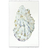 photography handmade paper oyster coastal decor wall art