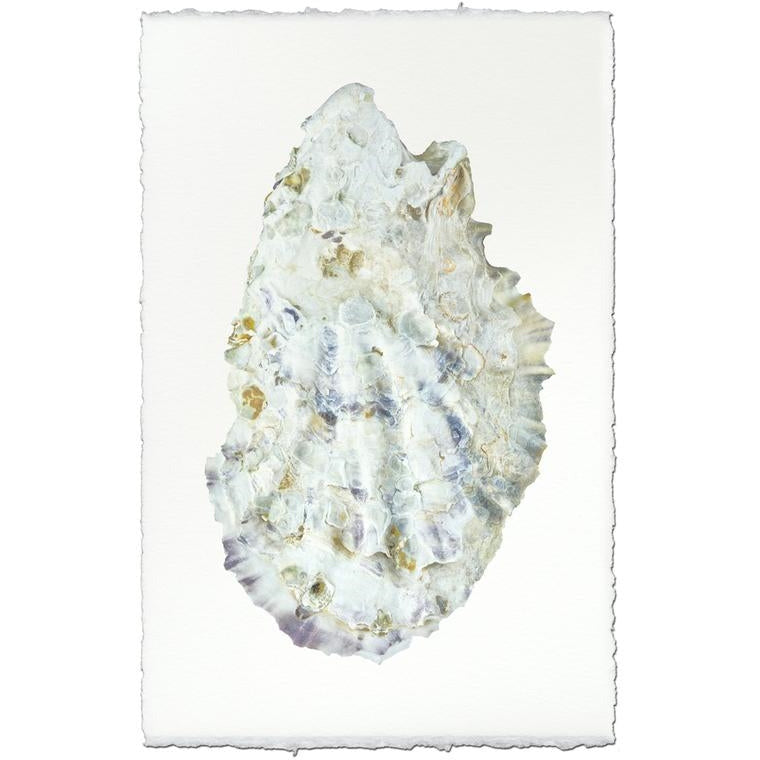 photography handmade paper oyster coastal decor wall art