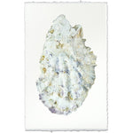 photography handmade paper oyster coastal decor wall art