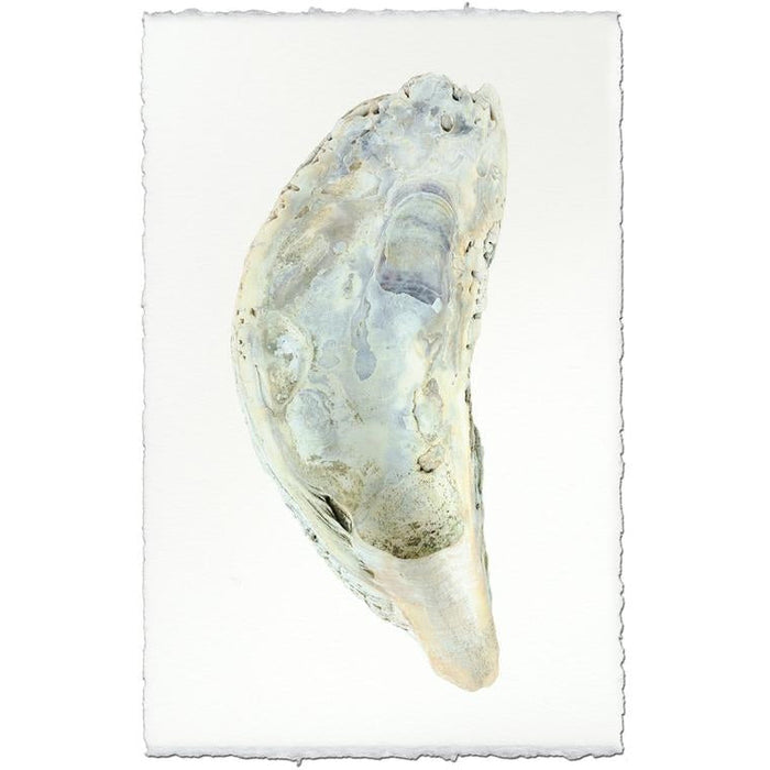photography handmade paper oyster coastal decor wall art