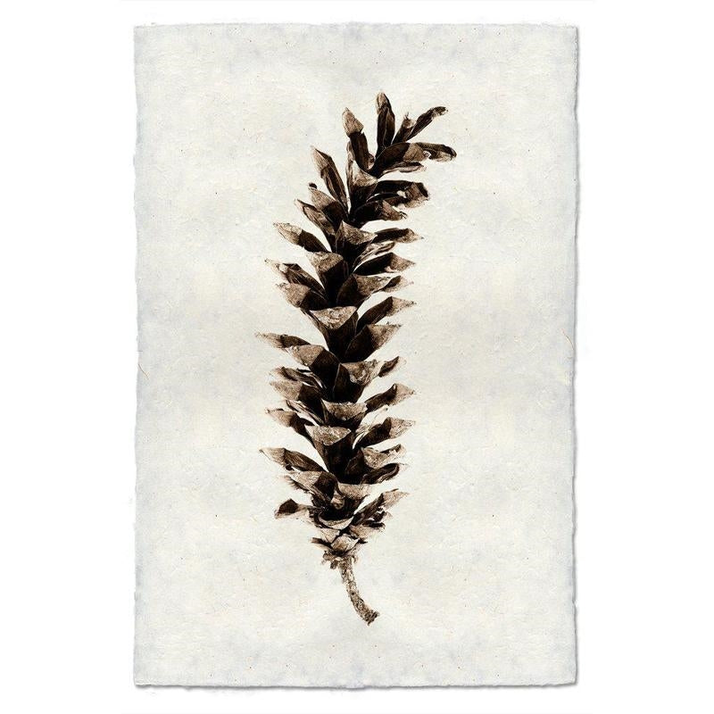 photography handmade paper pinecone natural wall art