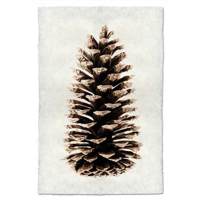 photography handmade paper pinecone natural wall art