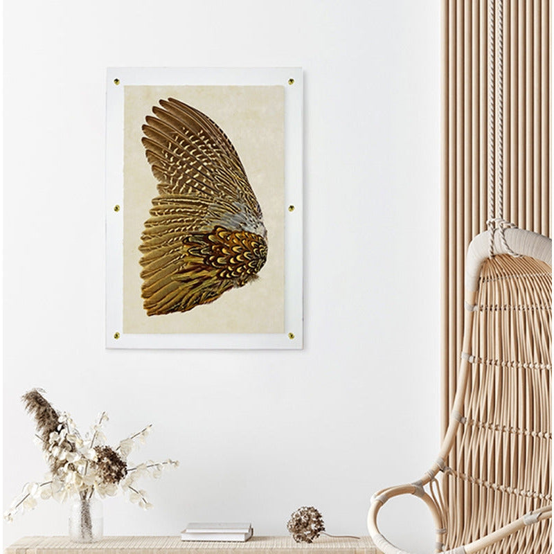 feathers pheasant paper art print frame brown