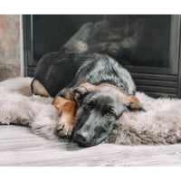 Sheepskin Pelted Rug - Natural Longwool Vole (size options)