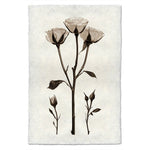 Black White Roses Photography on Handmade Paper