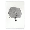 Round Sea Fan Wall Art - USA Made Professional Sea Life Photography | BSEID