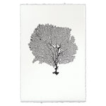 Round Sea Fan Wall Art - USA Made Professional Sea Life Photography | BSEID