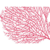 plat du jour coral seafan disposable placemat pad 50 sheets paper disposable soy-based ink entertaining recycled BPA free tropical coastal