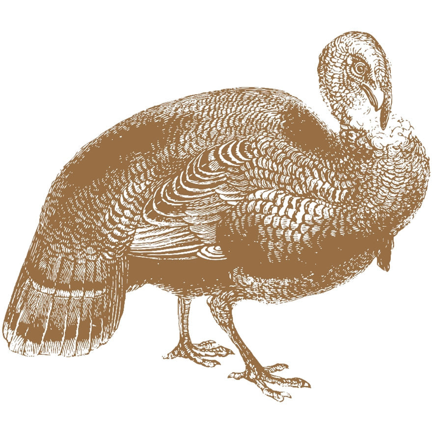 brown turkey paper placemat