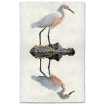 egret coastal photography print bird white brown