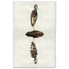 tricolored heron reflection coastal photography print