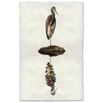 tricolored heron reflection coastal photography print