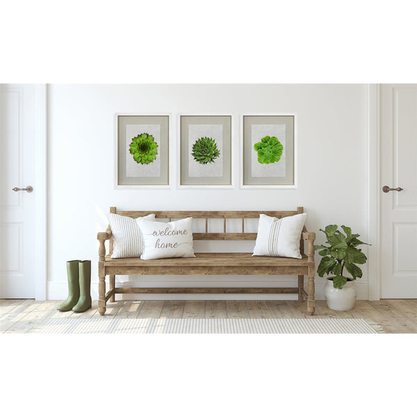 photography handmade paper green succulent plant