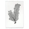 Tall Sea Fan Wall Art - USA Made Professional Sea Life Photography | BSEID