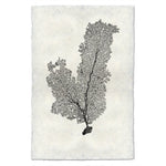 Tall Sea Fan Wall Art - USA Made Professional Sea Life Photography | BSEID