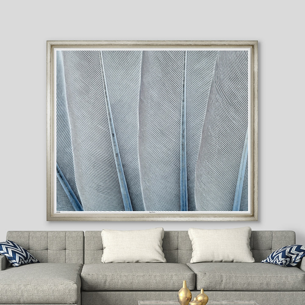 grey blue feathers contemporary silver frame wall art