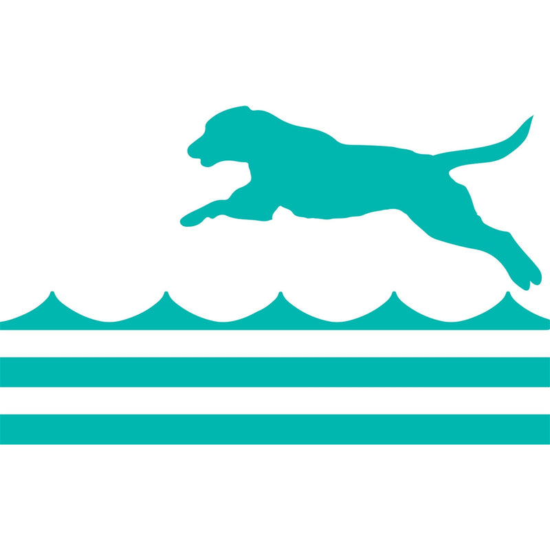 teal dog water paper placemat