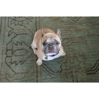 aqua wool area rug rectangle cream fringe edge