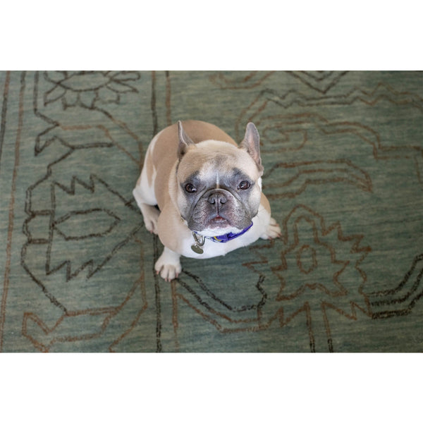aqua wool area rug rectangle cream fringe edge