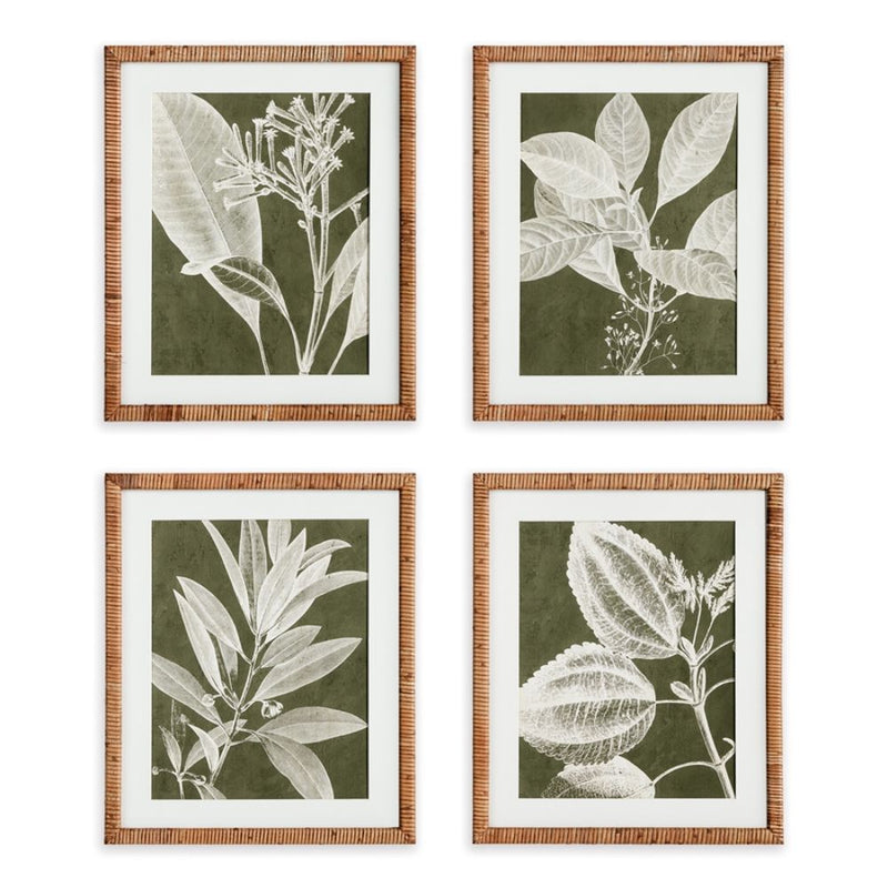 rattan framed olive green white stem art prints
